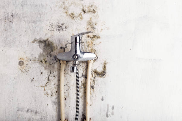 Water Damage Restoration in South Coventry, CT
