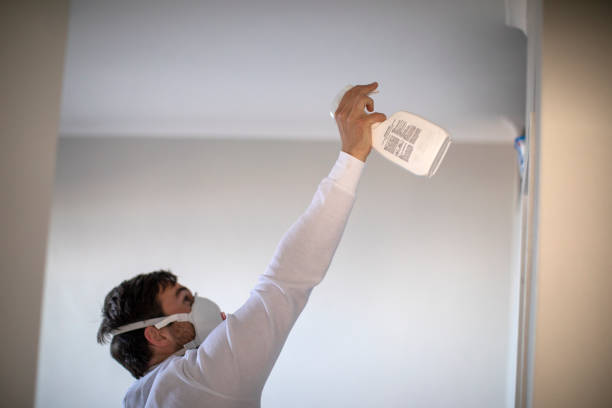 Best Crawl Space Mold Removal  in South Coventry, CT