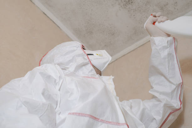 Best Crawl Space Mold Removal  in South Coventry, CT