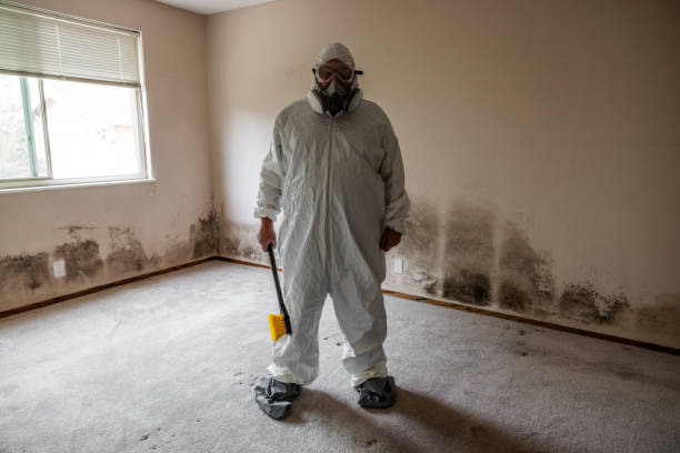 Best Mold Testing  in South Coventry, CT